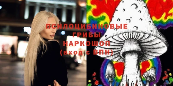 ГАЛЛЮЦИНОГЕННЫЕ ГРИБЫ Балабаново